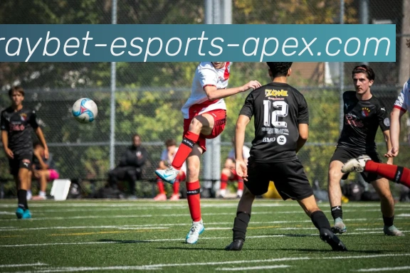 雷竞技服务体系